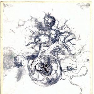 Meet your Posher, Jes